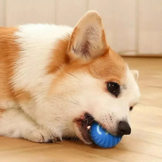 Automatic Dog Toy Ball | Eindeloos Speelplezier voor Je Hond