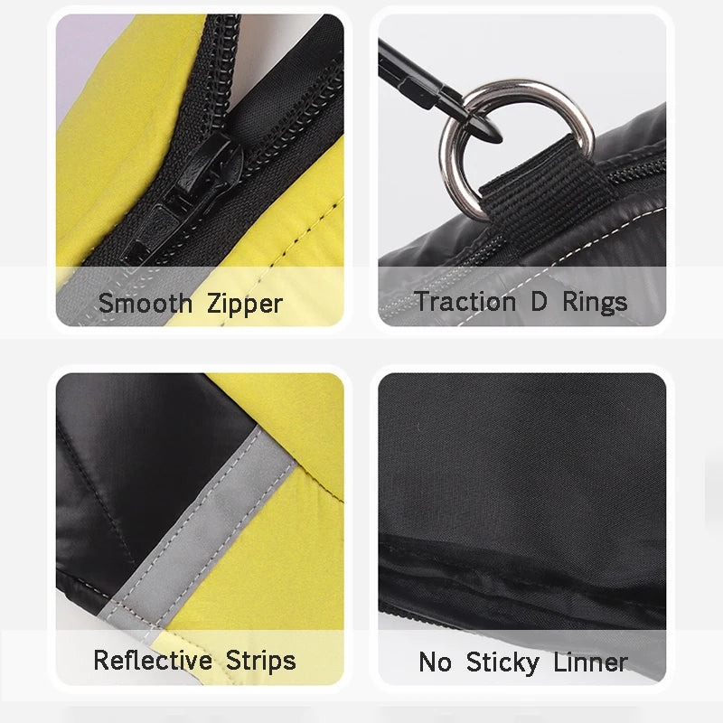 DoggyShield | De Ultieme Bescherming voor Je Hond