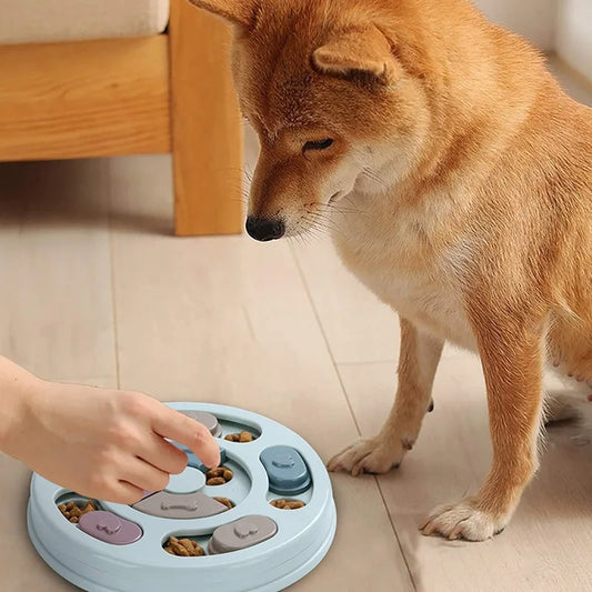 Dog Food Hiding Bowl | Maak Eten Een Spel voor Je Hond!